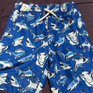 Blue Shark Print Swim Trunks